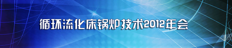 循环流化床锅炉技术2011年会