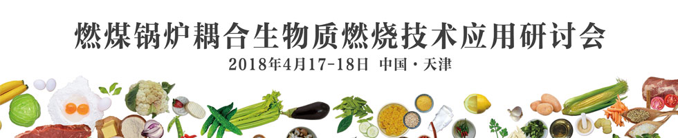 第一届燃煤锅炉耦合生物质燃烧技术应用研讨会
