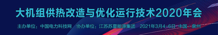 大机组供热改造与优化运行技术2020年会