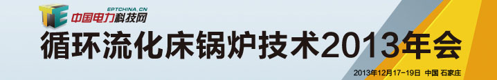 循环流化床锅炉技术2013年会